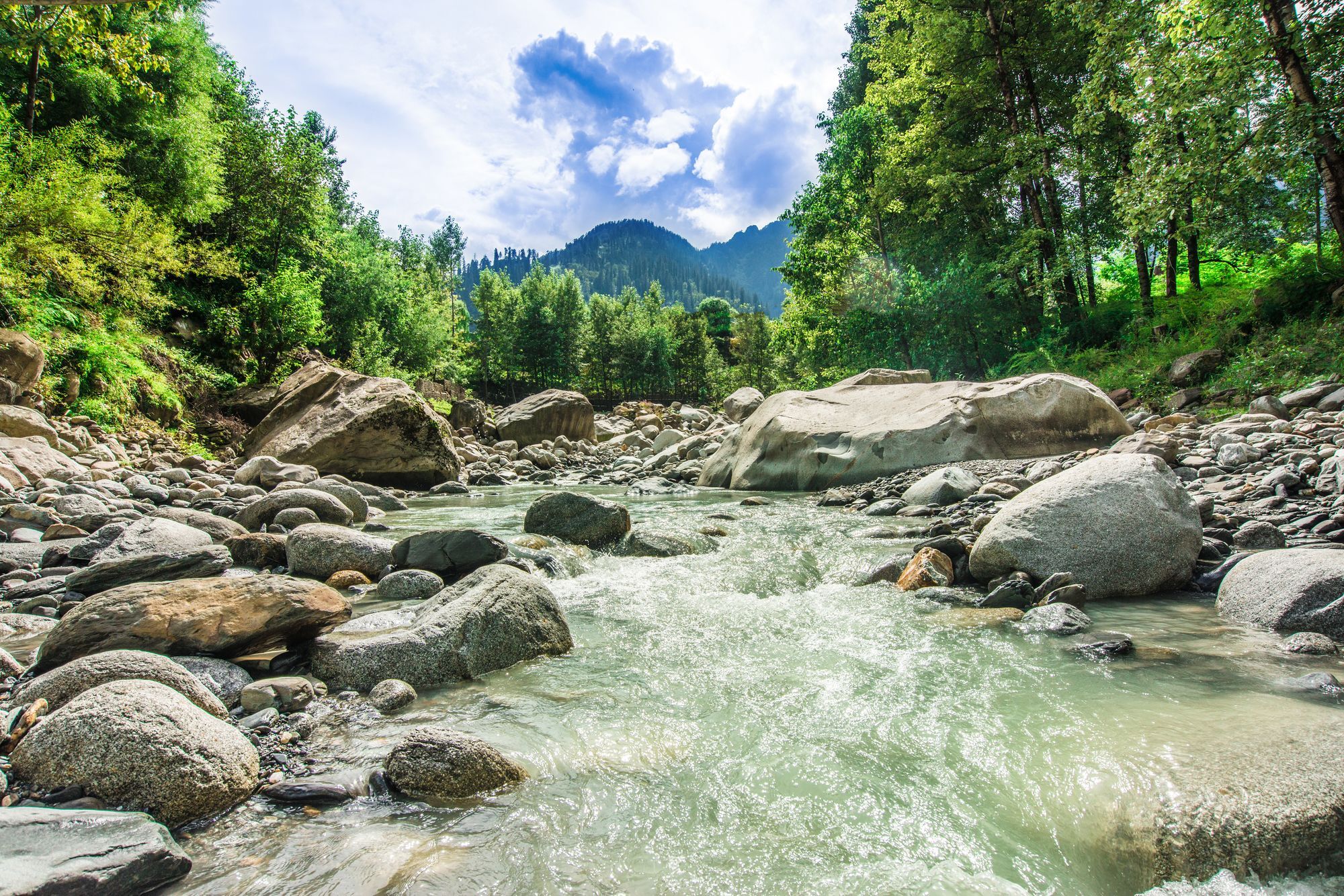 Solang Valley Resort Palchān Eksteriør bilde