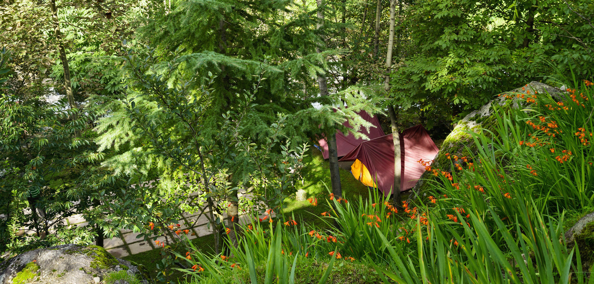 Solang Valley Resort Palchān Eksteriør bilde