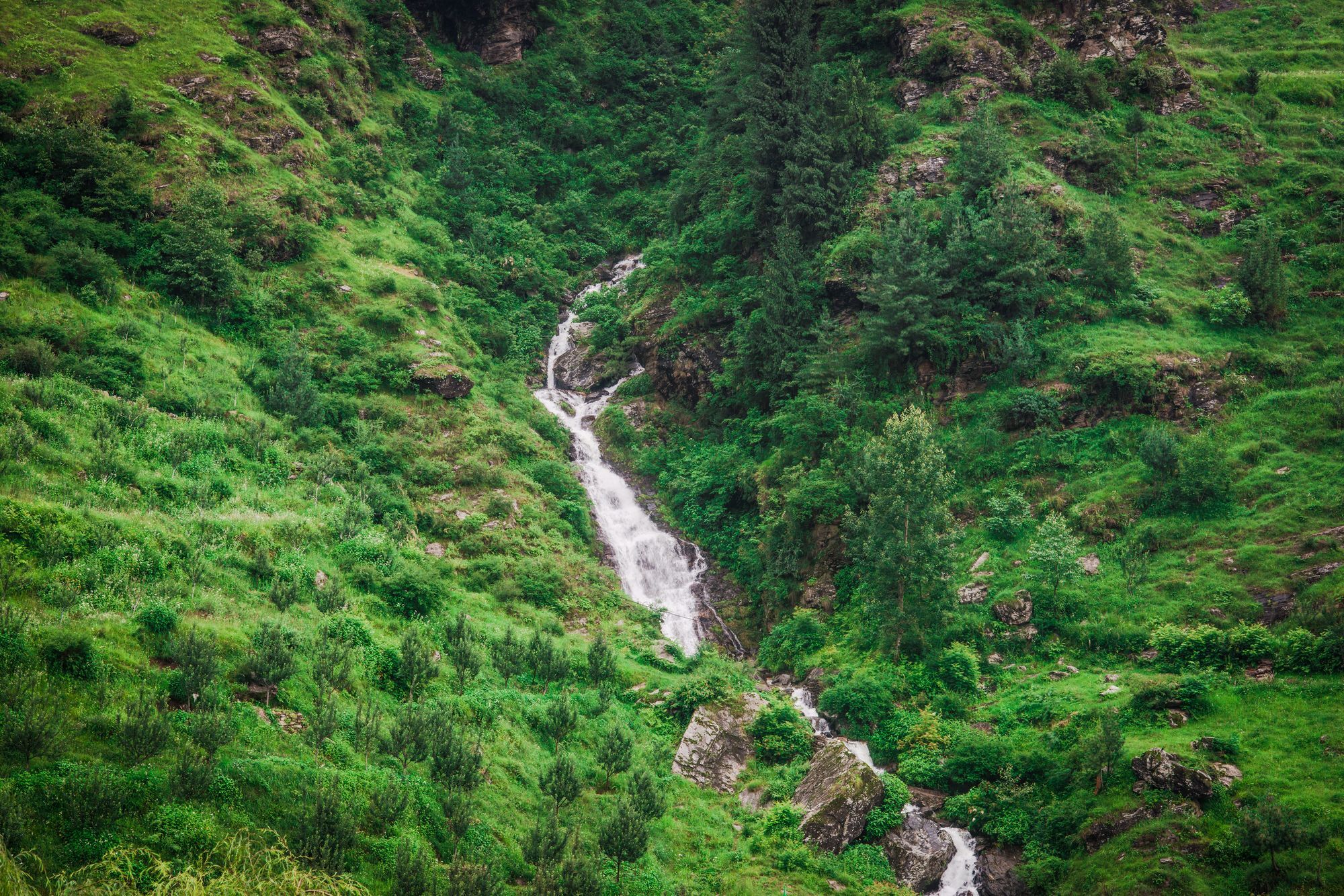 Solang Valley Resort Palchān Eksteriør bilde