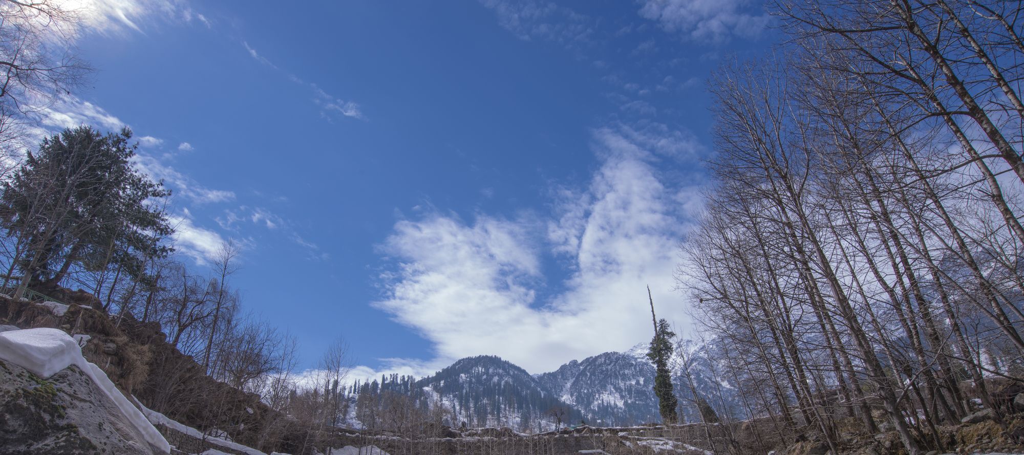 Solang Valley Resort Palchān Eksteriør bilde
