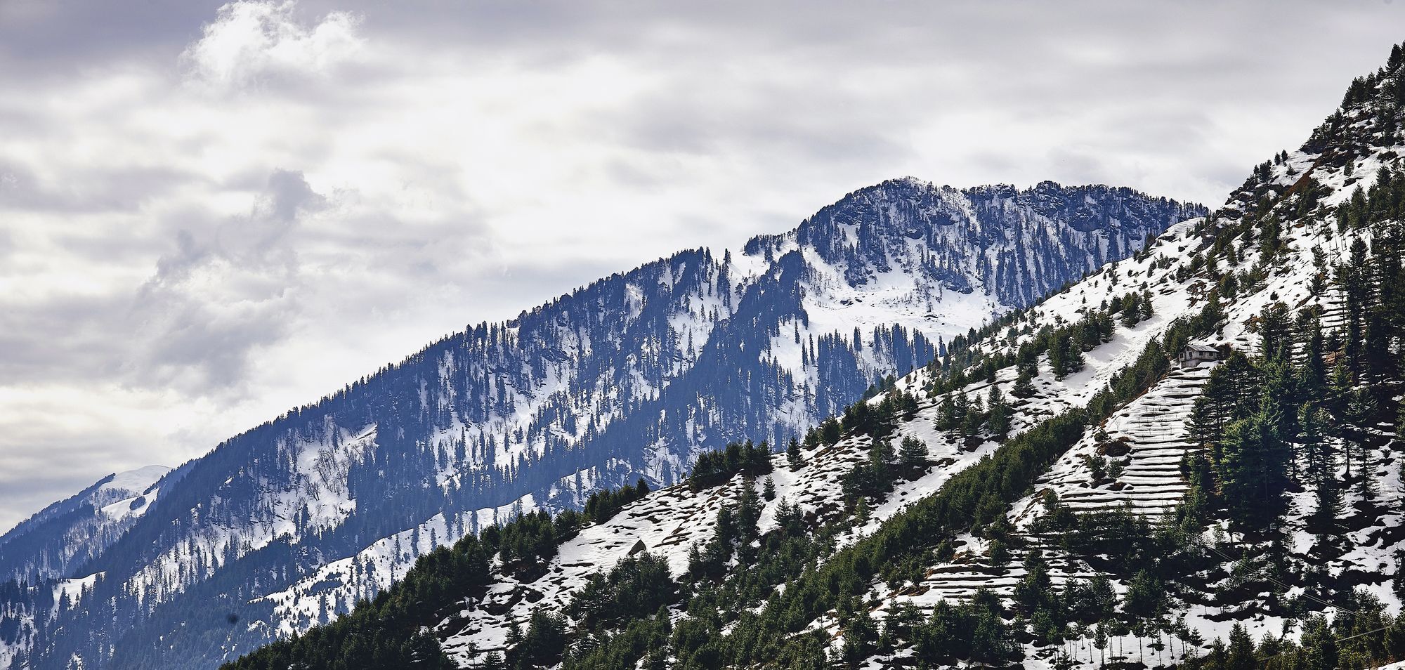 Solang Valley Resort Palchān Eksteriør bilde