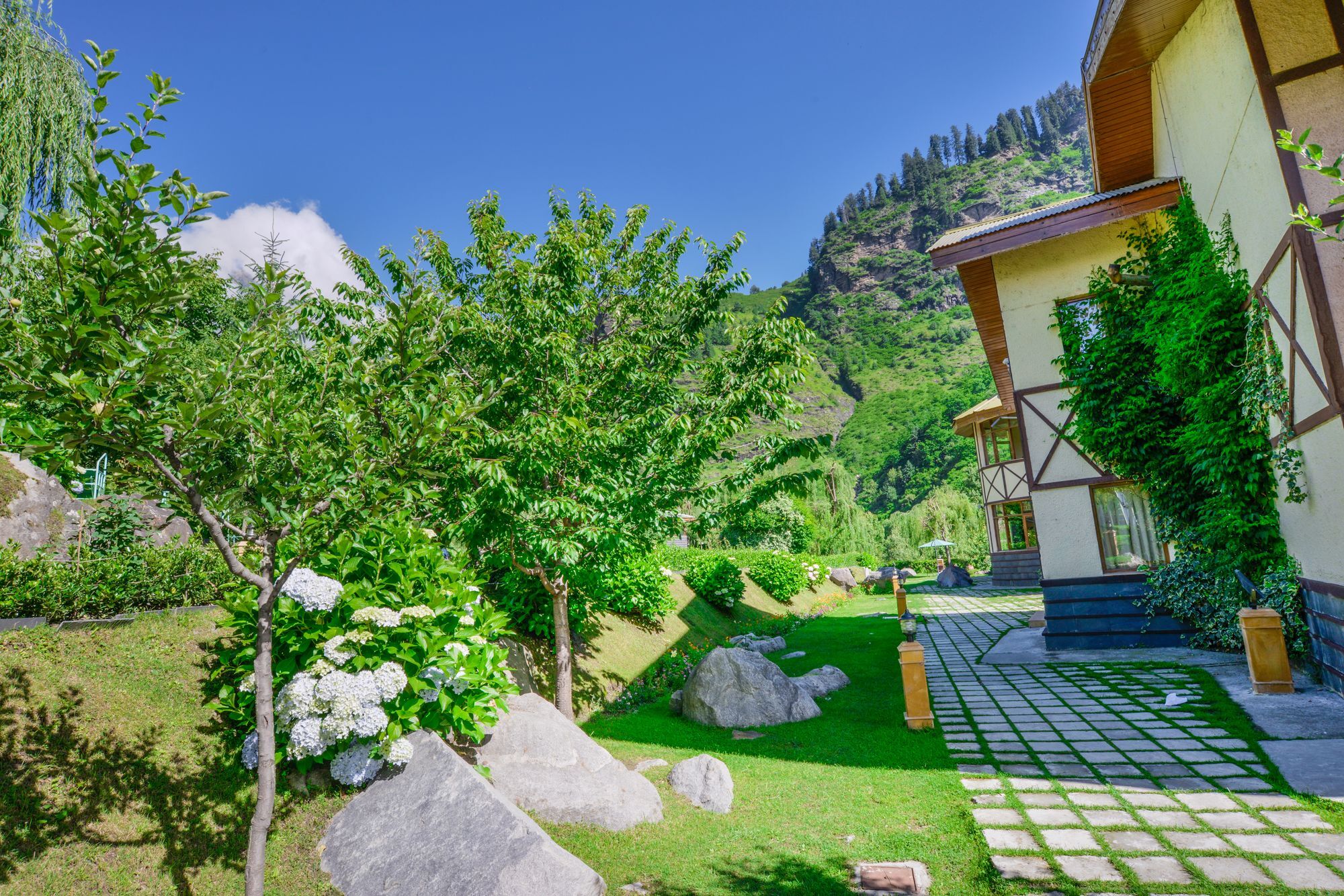 Solang Valley Resort Palchān Eksteriør bilde