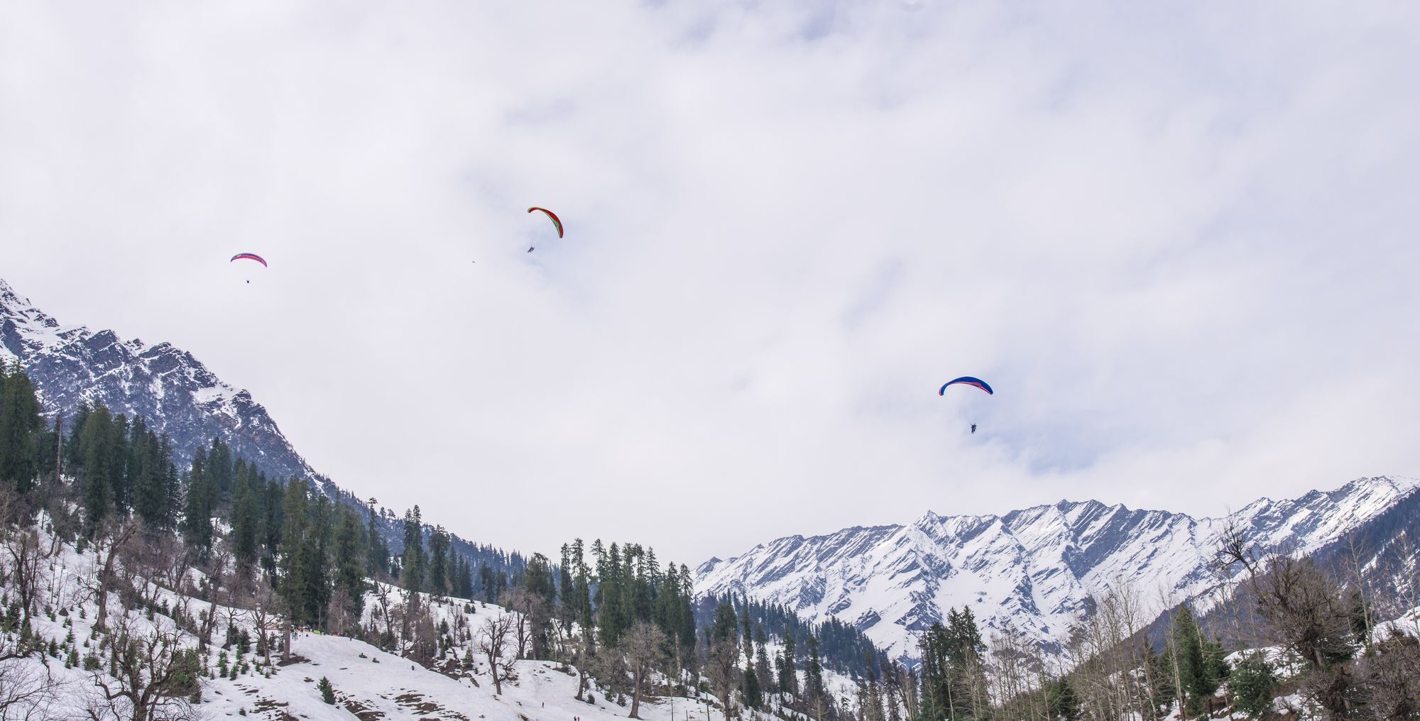 Solang Valley Resort Palchān Eksteriør bilde